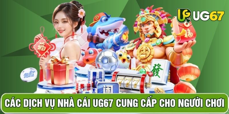 Hình ảnh dịch vụ chuyên nghiệp