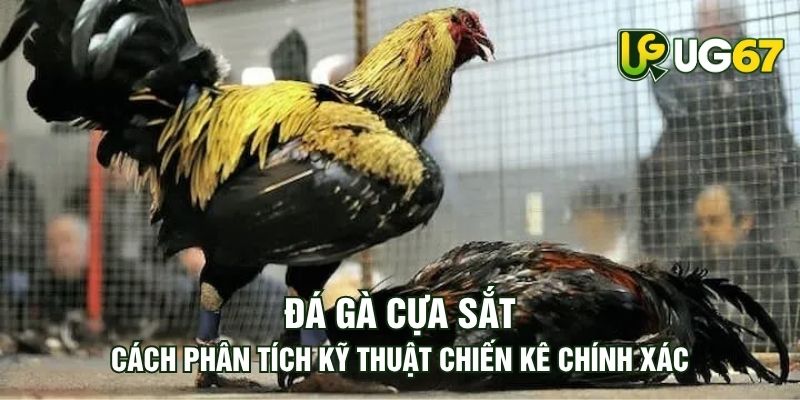 Tin tức