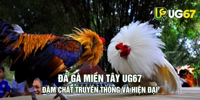 Tin tức