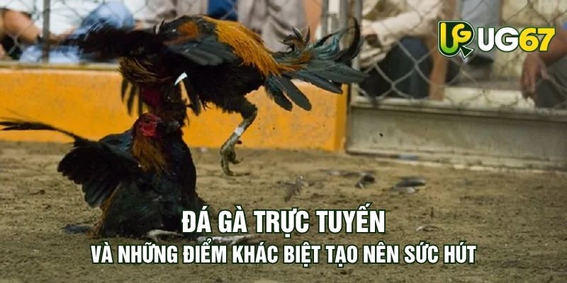 Tin tức