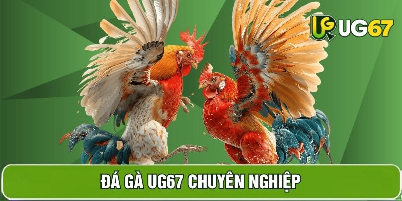 Hình ảnh sản phẩm đá gà