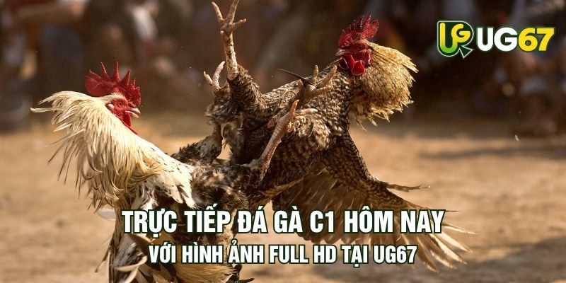 Tin tức