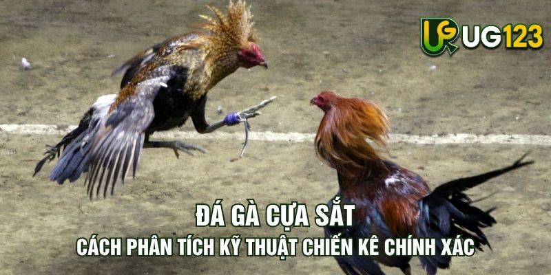 Tin tức