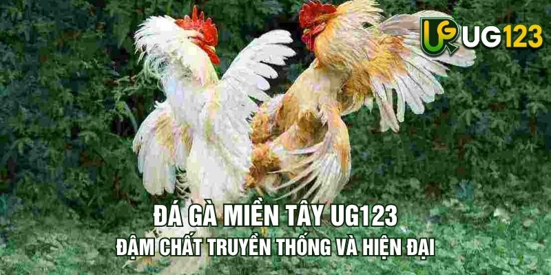 Tin tức