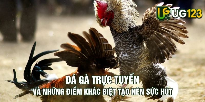 Tin tức