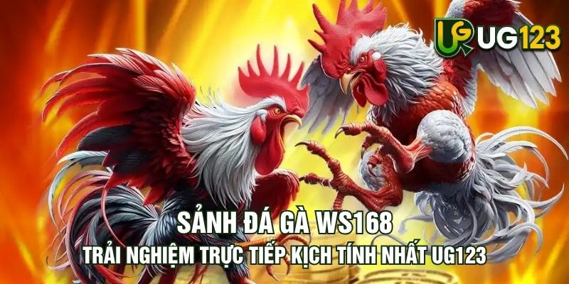 Tin tức