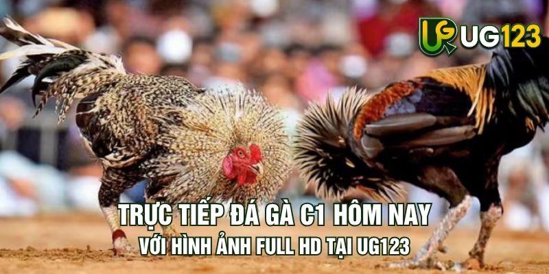 Tin tức